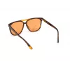 Sonnenbrille WEB EYEWEAR Unisex WE0263-5956J Square Havana Acetat-Fassung Grüne Polycarbonat-Gläser 59/13/145 mm UV400