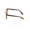 Sonnenbrille WEB EYEWEAR Unisex WE0263-5956J Square Havana Acetat-Fassung Grüne Polycarbonat-Gläser 59/13/145 mm UV400