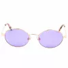 Sonnenbrille WEB EYEWEAR Damen WE0255-33Y Cat Eye Havana Braun Verlauf 51mm