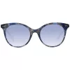 Sonnenbrille WEB EYEWEAR Damen WE0277-5255W Cat Eye Havana Braun 52/19/140 mm