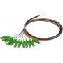 SYNERGY21 S215560 Glasfaser-Patchkabel-Set 2 m OS2 E-2000 (LSH) mehrfarbig 12er-Pack