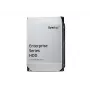 Synology HAS5320-24T 24TB SAS 12Gb/s 3.5-Zoll Enterprise HDD