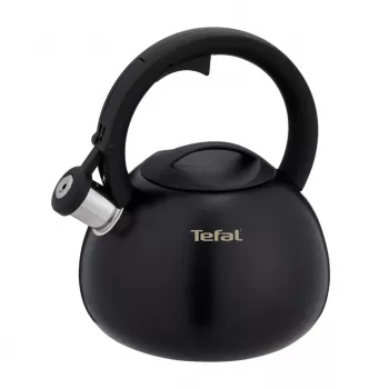 Tefal N4180410 Express Control Wasserkocher aus Edelstahl, 2,5 L, Induktion, Silber/Schwarz