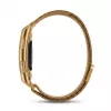 Titmo Loop I-110 Gold Smartband mit EKG, HRV, HF, BD, SpO2, IP68, Bluetooth