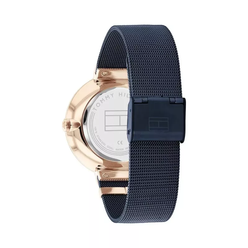 Tommy Hilfiger Damen Blake Quarzuhr 1782541 40mm Silber Edelstahl