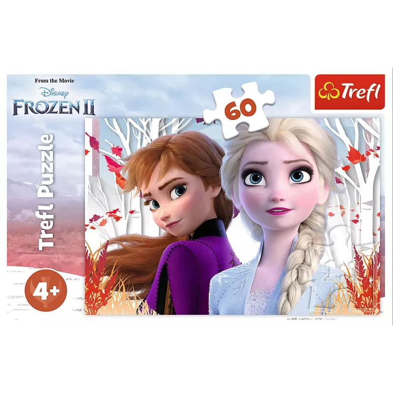 TREFL PUZZLE Puzzle 60 Die magische Welt von Anna und Elsa