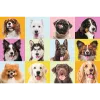 TREFL PUZZLE Puzzles - 60 - Süße Welpen