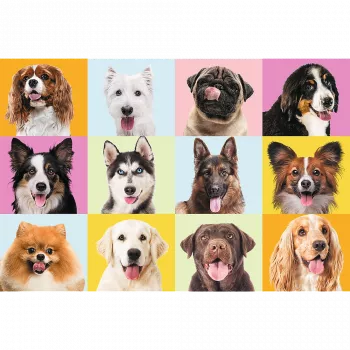 TREFL PUZZLE Puzzles - 60 - Süße Welpen