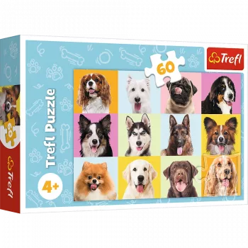 TREFL PUZZLE Puzzles - 60 - Süße Welpen