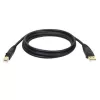 Tripp Eaton Tripp Lite Series USB 2.0 A to B Kabel (M/M)