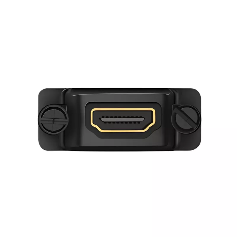 UGREEN 20124-20124 DVI (24+1) Stecker auf HDMI Buchse Adapter - Schwarz