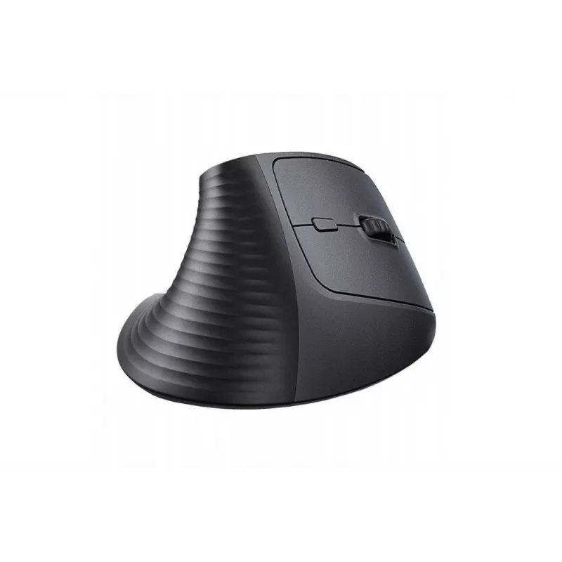 UGREEN Kabellose Vertikale Maus Schwarz 2.4GHz Ergonomisch Leise Klicks 2400 DPI