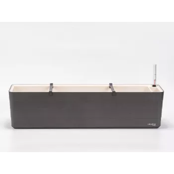 URBALIVE BERBERIS Selbstbewässernder Rechteckpflanzkasten 80 x 20 cm, Grau