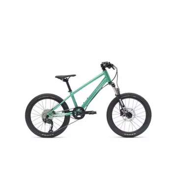 VAAST Y/1 Mountain Bike 20 Zoll Gloss Teal – Junior MTB mit Super-Magnesium-Rahmen