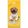 VERSELE-LAGA HappyLife Trockenfutter mit Huhn für ausgewachsene Hunde 12,5 kg