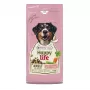 VERSELE-LAGA HappyLife Trockenfutter mit Lamm für ausgewachsene Hunde 12,5 kg