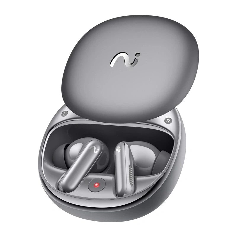 VIAIM Recdot 2 AI TWS Earbuds mit Sprachrekorder (Schwarz)