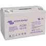 Victron Energy 12V/110Ah Gel Deep Cycle Akku (BAT412101104)