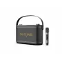 W-King H10S Tragbarer kabelloser Lautsprecher, 100W RMS, Bluetooth 5.0, IPX6, Schwarz