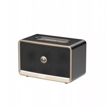 W-King H330 Tragbarer kabelloser Bluetooth-Lautsprecher 30W IPX6 Schwarz