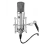 Warm Audio WA-67 Röhrenkondensatormikrofon Silber Studiomikrofon