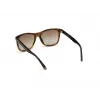 WEB EYEWEAR MAN WE0279-5652G Sonnenbrille Havana Grün 56/19/145 mm