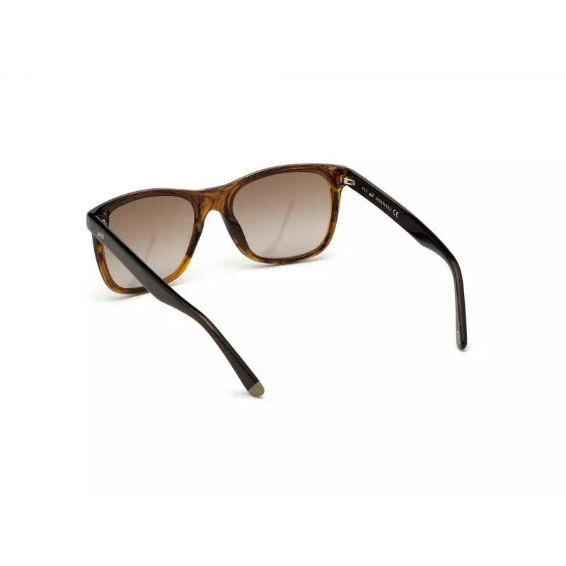 WEB EYEWEAR MAN WE0279-5652G Sonnenbrille Havana Grün 56/19/145 mm
