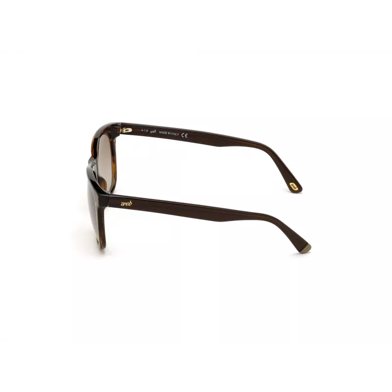 WEB EYEWEAR MAN WE0279-5652G Sonnenbrille Havana Grün 56/19/145 mm