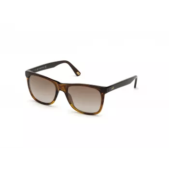 WEB EYEWEAR MAN WE0279-5652G Sonnenbrille Havana Grün 56/19/145 mm