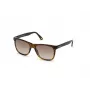 WEB EYEWEAR MAN WE0279-5652G Sonnenbrille Havana Grün 56/19/145 mm