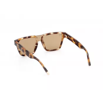 WEB EYEWEAR MAN WE0314-0041F Sonnenbrille Havanna Acetatrahmen Braune Verlaufsgläser 54-19-145