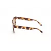 WEB EYEWEAR MAN WE0314-0041F Sonnenbrille Havanna Acetatrahmen Braune Verlaufsgläser 54-19-145