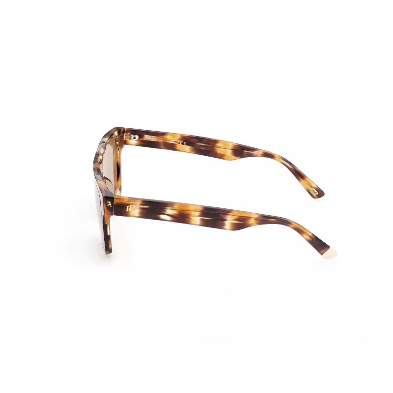 WEB EYEWEAR MAN WE0314-0041F Sonnenbrille Havanna Acetatrahmen Braune Verlaufsgläser 54-19-145