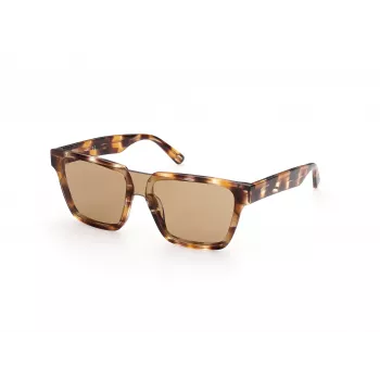 WEB EYEWEAR MAN WE0314-0041F Sonnenbrille Havanna Acetatrahmen Braune Verlaufsgläser 54-19-145