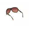 WEB EYEWEAR Woman WE0290-6552F Havana Brown Rectangular Cat Eye Sonnenbrille 65/12/115 mm