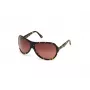 WEB EYEWEAR Woman WE0290-6552F Havana Brown Rectangular Cat Eye Sonnenbrille 65/12/115 mm