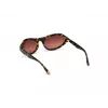 WEB EYEWEAR Damen-Sonnenbrille WE0288-6052F Havana Grau Verlauf 60/18/125 mm