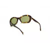 WEB EYEWEAR Damen-Sonnenbrille WE0289-5652N Havana Acetat eckiger Rahmen braun verlaufende Gläser 56/19/130 mm