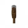 Wentronic Goobay CAT 6 Flach-Patchkabel, U/UTP, Dunkelbraun, 0,5 m, Kupfer 95889