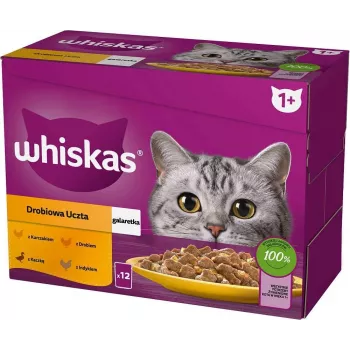 WHISKAS Sachet Jelly Geflügel, Ente, Truthahn, Huhn - Nassfutter für Katzen - 12x85 g