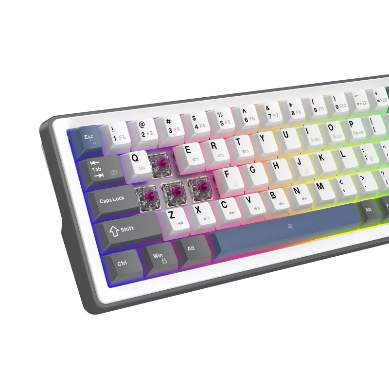 White Shark EXCALIBUR M Mechanische Tastatur (GK-009251) mit Outemu Blue Switches, RGB-Beleuchtung, US-Layout, Weiß