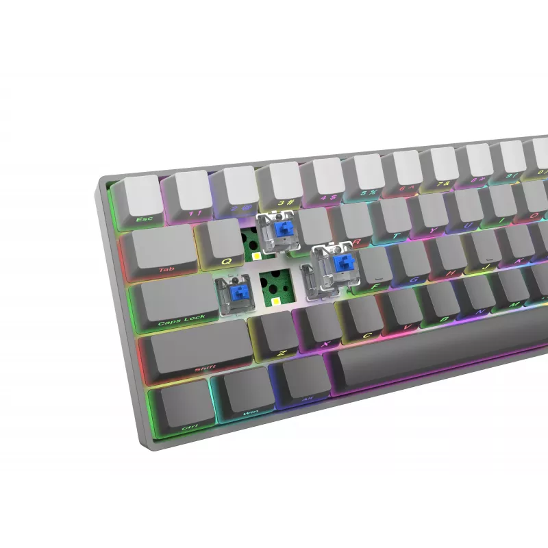 White Shark Nunchaku Mechanische Gaming-Tastatur TKL, Grau, Outemu Blue Switch, RGB Hot-Swap, Kabelgebunden USB