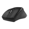 WINX DO ESSENTIAL Funkmaus 2,4 GHz optisch 1600 DPI Schwarz