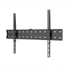 WINX MOUNT SIMPLE TV-Halterung für 14-42 Zoll Bildschirme, feste Wandhalterung, VESA 75x75 bis 200x200, 25 kg Belastung, Schwarz