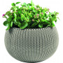 KETER Blumentopf Cozy M mit Hänge-Set beige