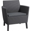 KETER Gartenstühle 2 Stk. Salemo Duo grau