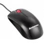 Maus IBM Optical Wheel Maus 41U3030 USB